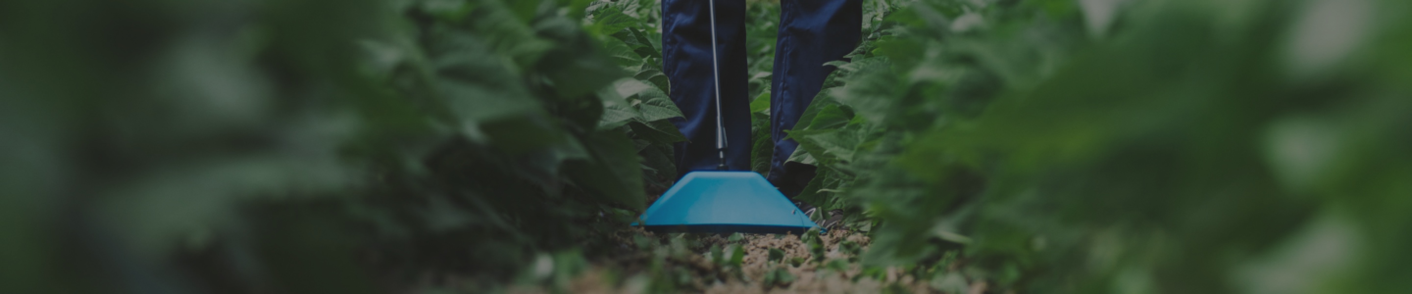 Acessórios Acessórios