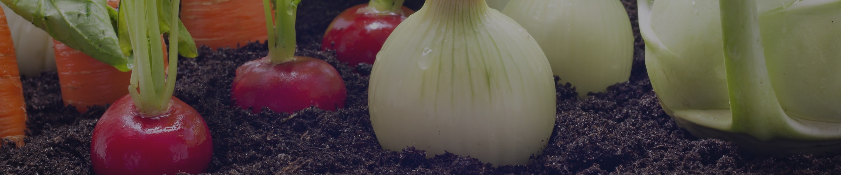 Horta Urbana Horta Urbana