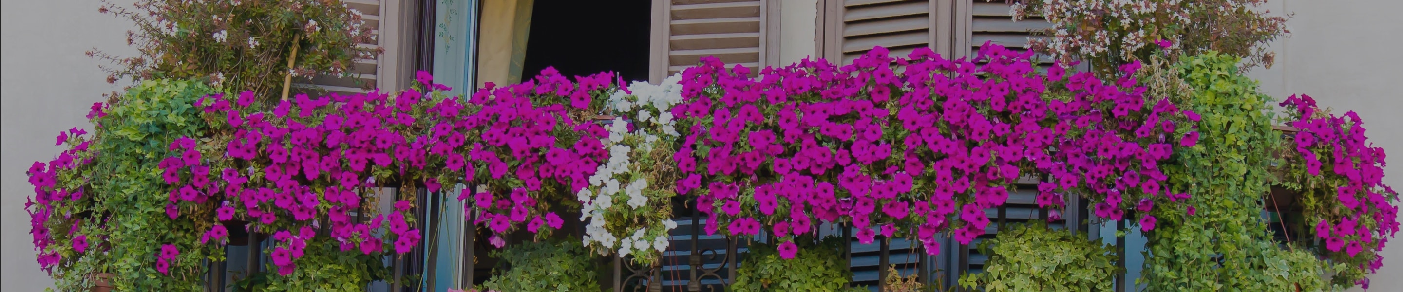 Lar-Jardim Lar-Jardim