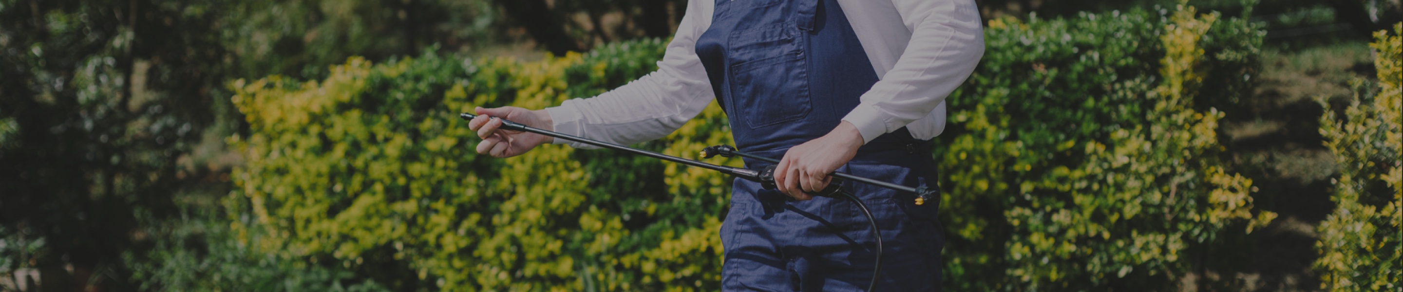 Wartungssets Wartungssets