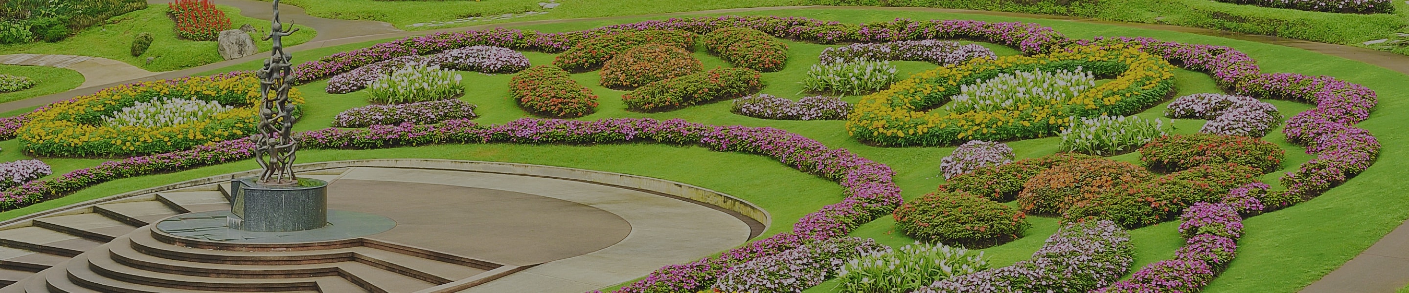 Lorezaintza profesionala Lorezaintza profesionala