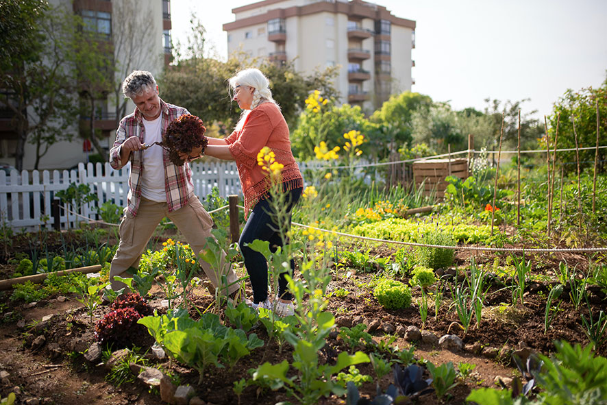 year round gardening