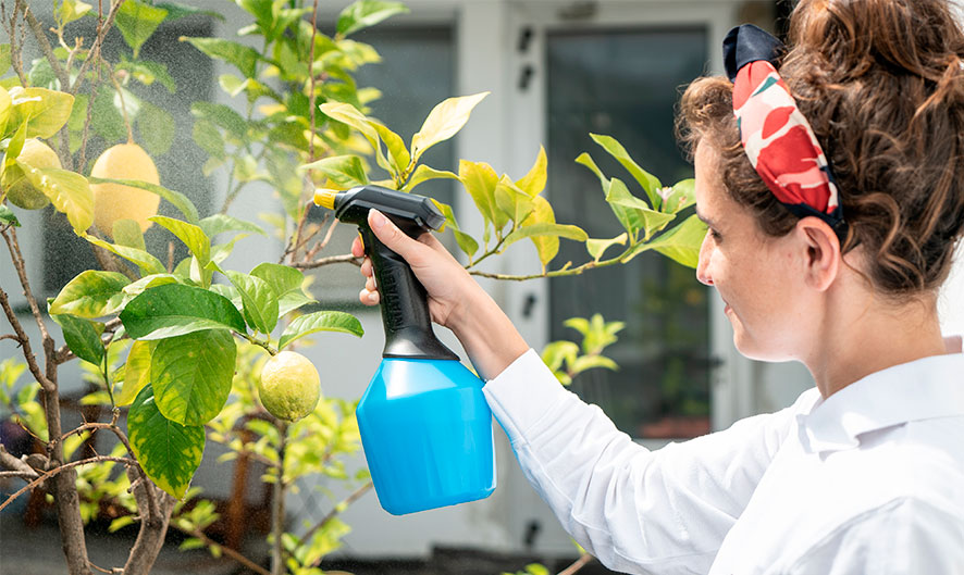 pulverizador eléctrico de jardín