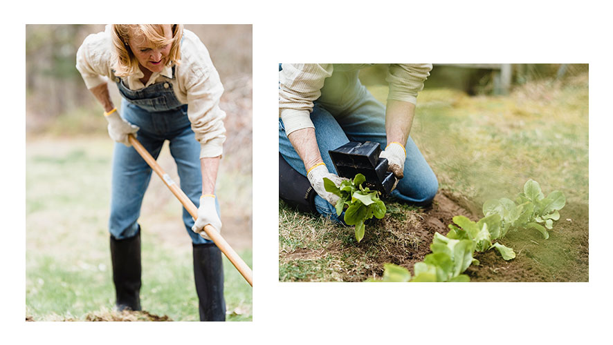 como cultivar un huerto en septiembre