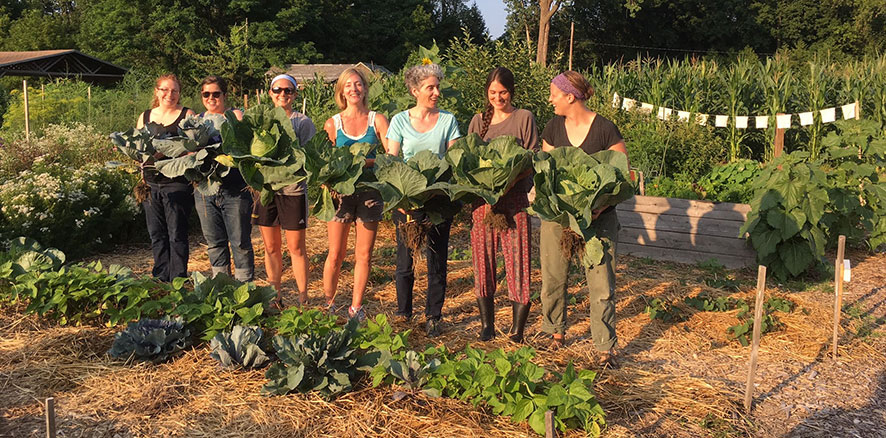 Community garden