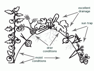 Composición técnica de cultivo hugekultur