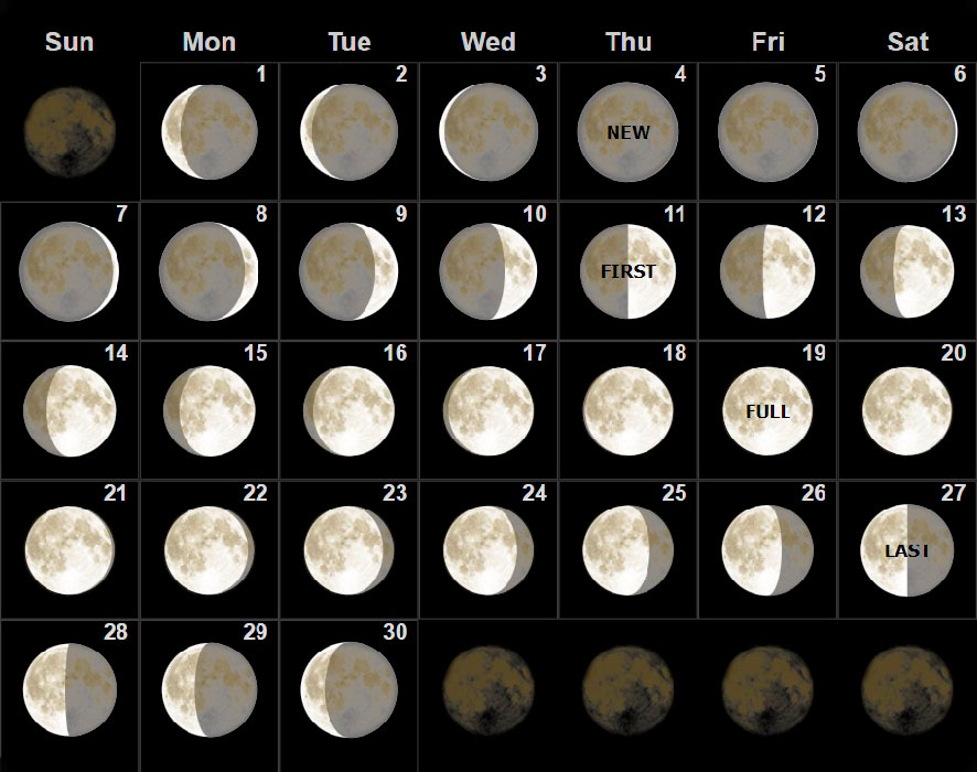 Cultivar según el calendario lunar