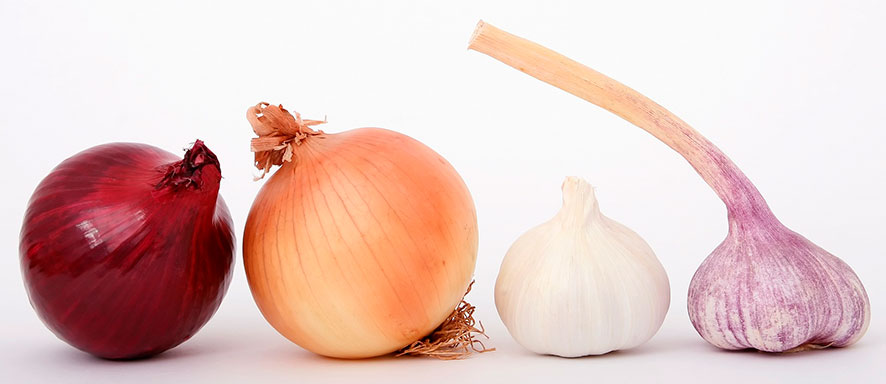 Onino and garlic peel as fertilizer