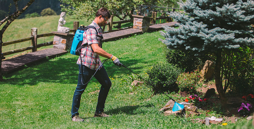 Cuidado del jardín