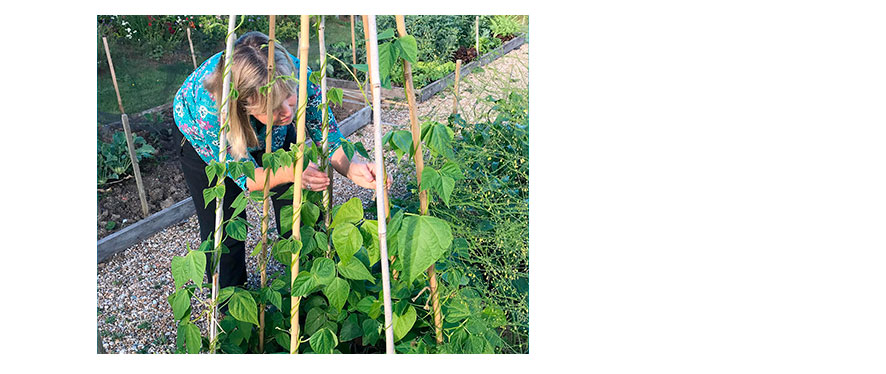 female gardener plot and pantry