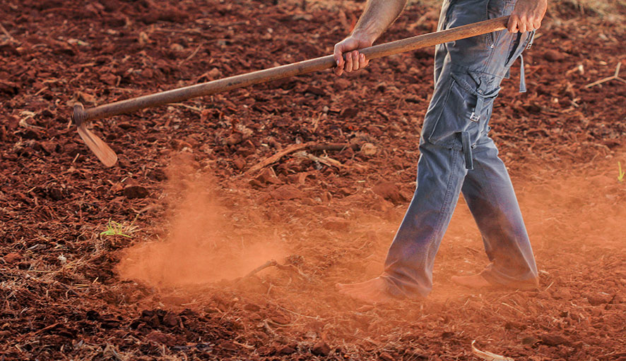 cómo ponerse en forma en la huerta