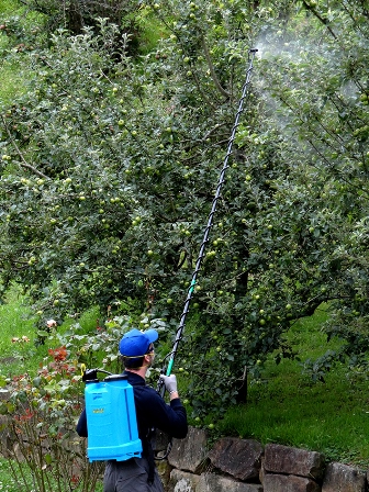 Lanza Telescopica Arboles 