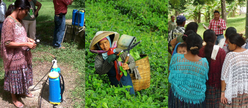 Día Internacional de las Mujeres Rurales