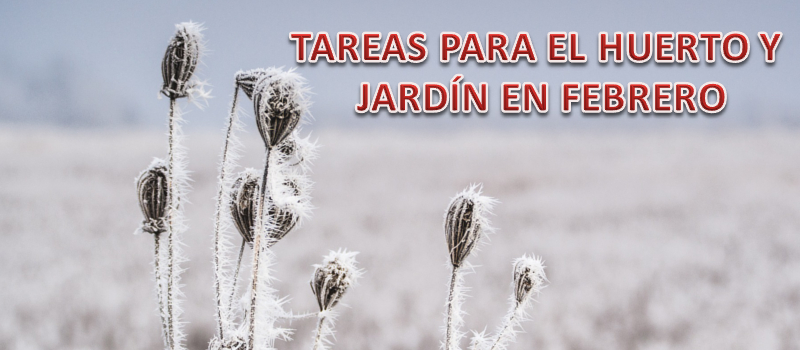 TAREAS PARA EL HUERTO Y  JARDÍN EN FEBRERO