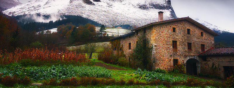 Huerta y jardín de invierno