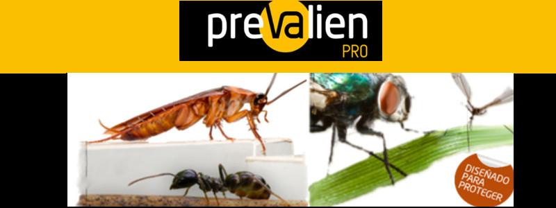 ¿Problemas con mosquitos, cucarachas…? ¡Actúa con Prevalien pro!