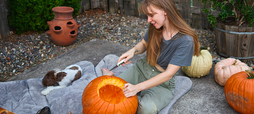 Ideas para decorar tu jardín en Halloween