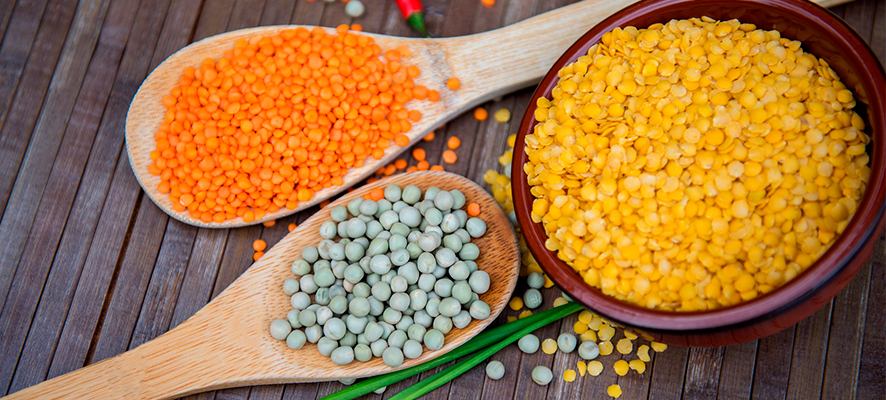 Create sustainable gardens by growing legumes