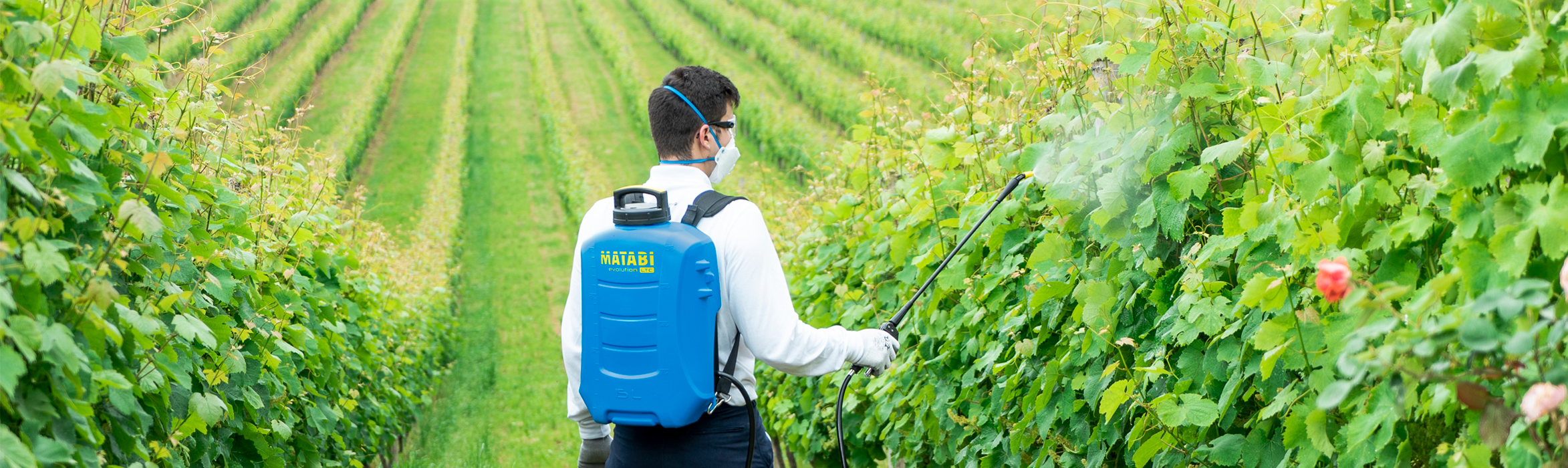 Pulverizadores de mochila