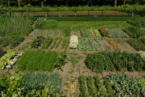 Guía de acolchamiento para huerto y jardín - Nortene - Nortene