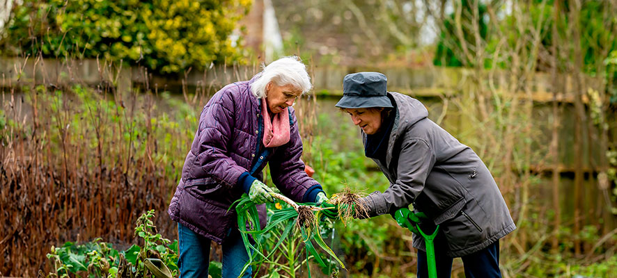 Benefits of gardening on mental health