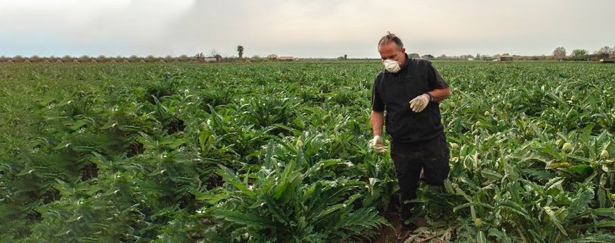 #GraciasAgricultores