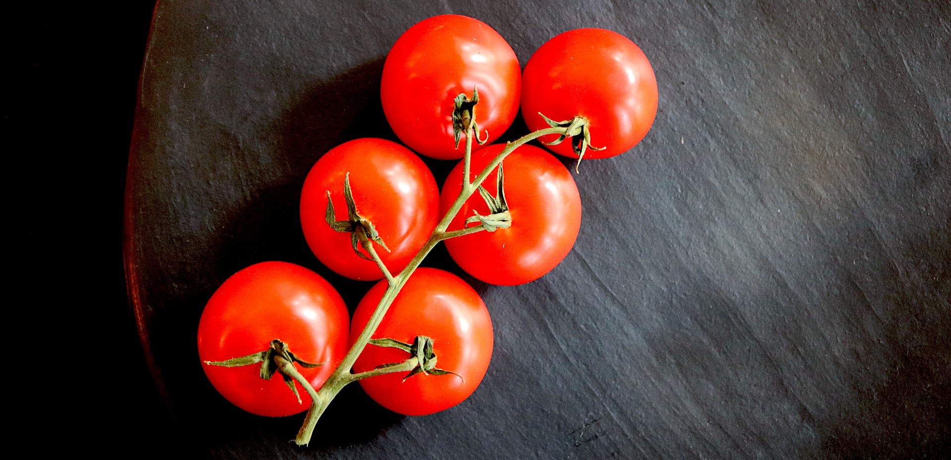 TODO LO QUE NECESITAS SABER PARA PLANTAR TOMATE