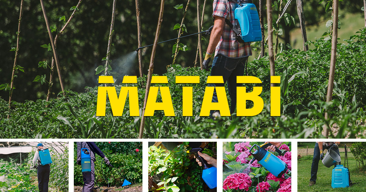 www.matabi.com