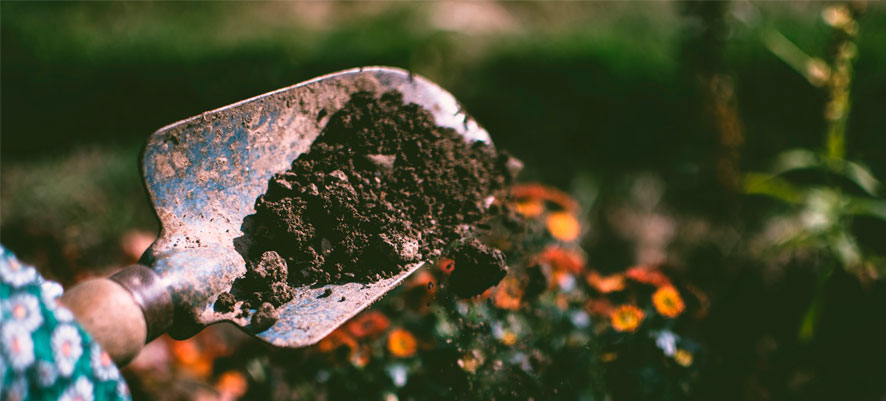 Préparez votre jardin pour l'été engrais