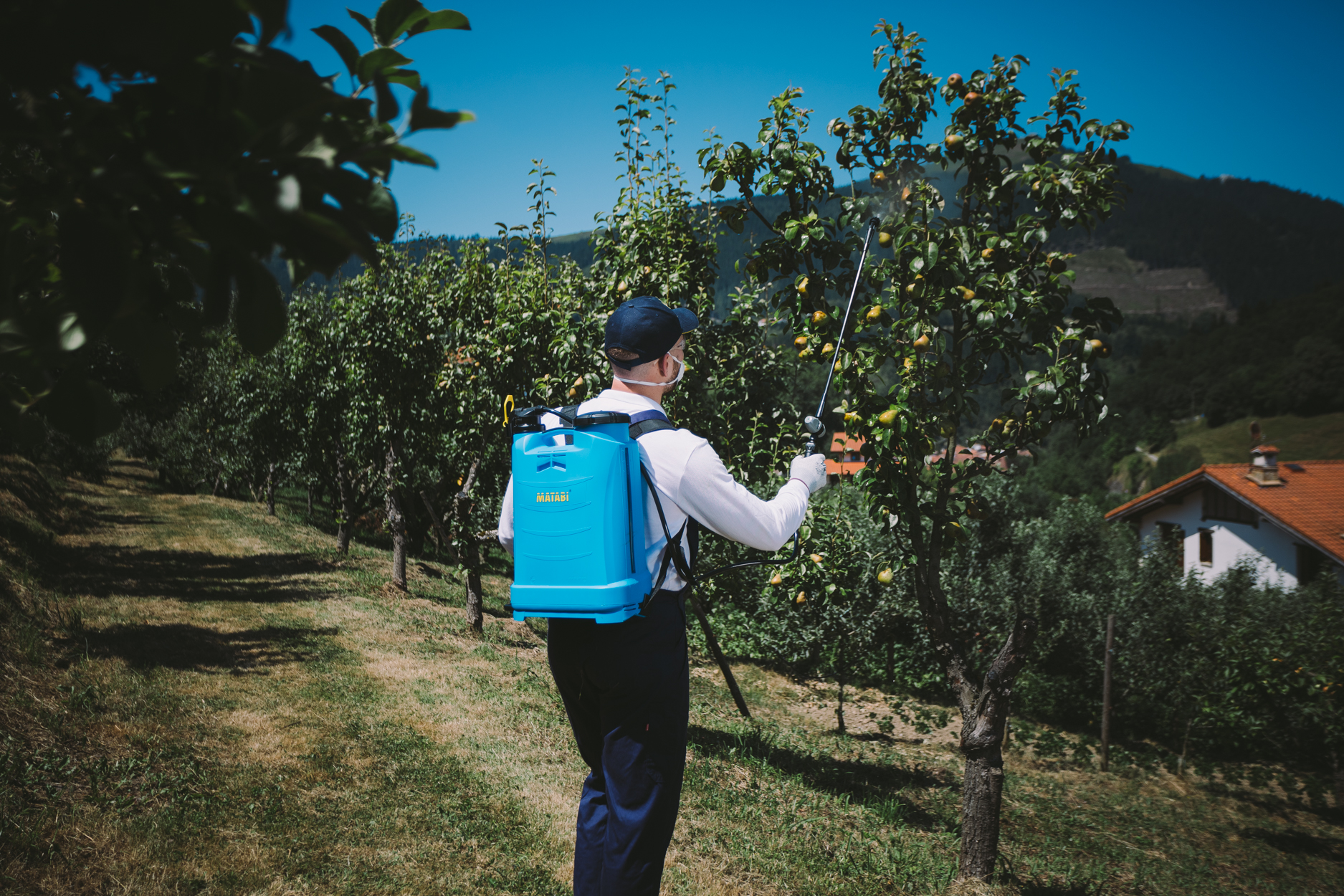 Pulvérisateurs à dos : Des outils polyvalents pour l'agriculture et le  jardinage