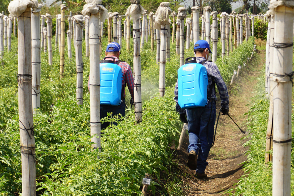 Pulvérisateurs à dos : Des outils polyvalents pour l'agriculture et le  jardinage